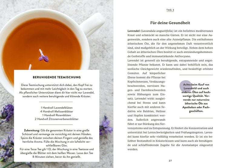 Produktbild: 7 Minuten Kr&auml;uterkraft