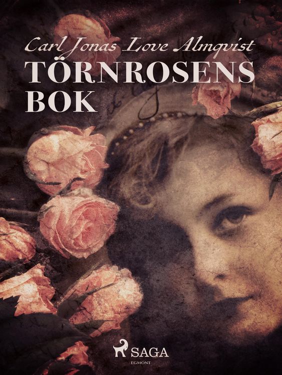 Produktbild: T&ouml;rnrosens bok