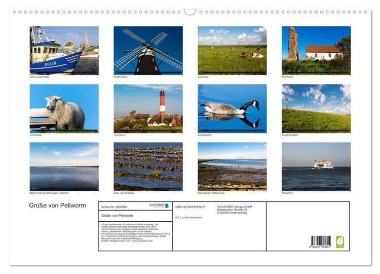Produktbild: Gr&uuml;&szlig;e von Pellworm (Wandkalender 2026 DIN A2 quer), CALVENDO Monatskalender