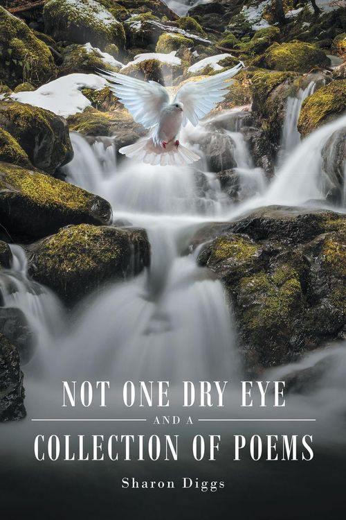 Produktbild: Not One Dry Eye and a Collection of Poems