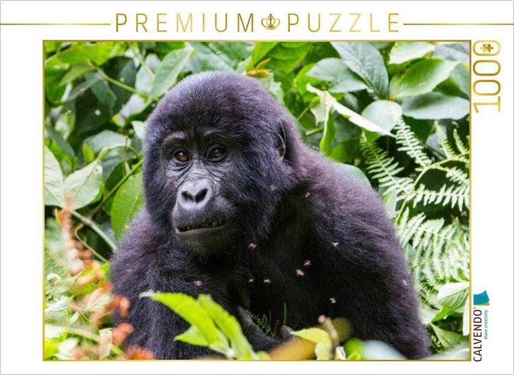 Produktbild: CALVENDO Puzzle Junger Berggorilla | 1000 Teile Lege-Gr&ouml;&szlig;e 64x48cm Foto-Puzzle f&uuml;r gl&uuml;ckliche Stunden