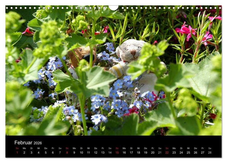 Produktbild: Der B&auml;rchenkalender 2026 (Wandkalender 2026 DIN A3 quer), CALVENDO Monatskalender