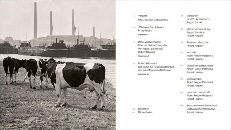 Produktbild: Sachlich neu