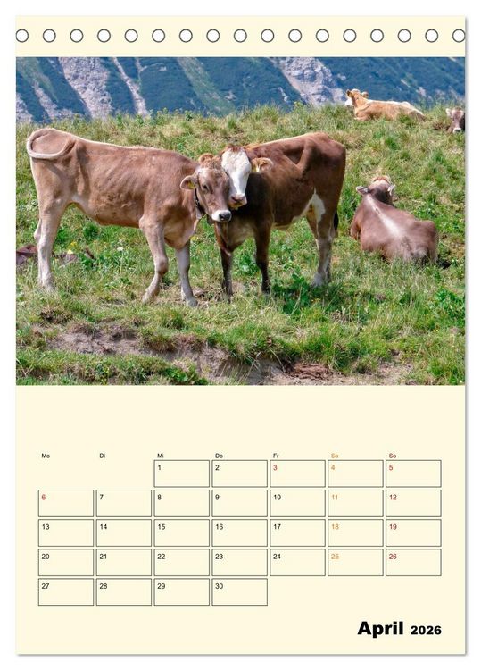 Produktbild: Gl&uuml;ckliche Bergk&uuml;he (Tischkalender 2026 DIN A5 hoch), CALVENDO Monatskalender