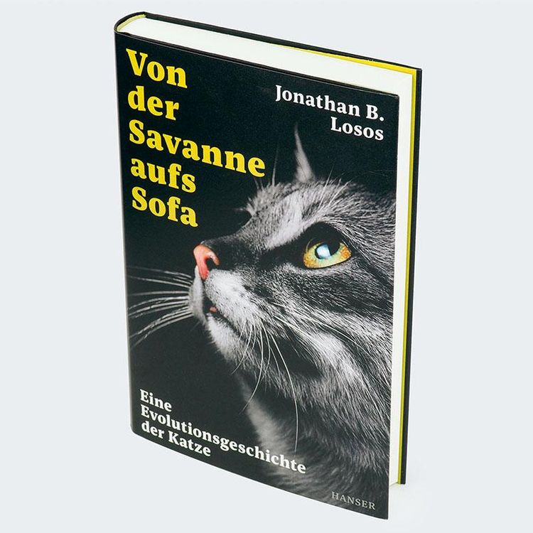 Produktbild: Von der Savanne aufs Sofa