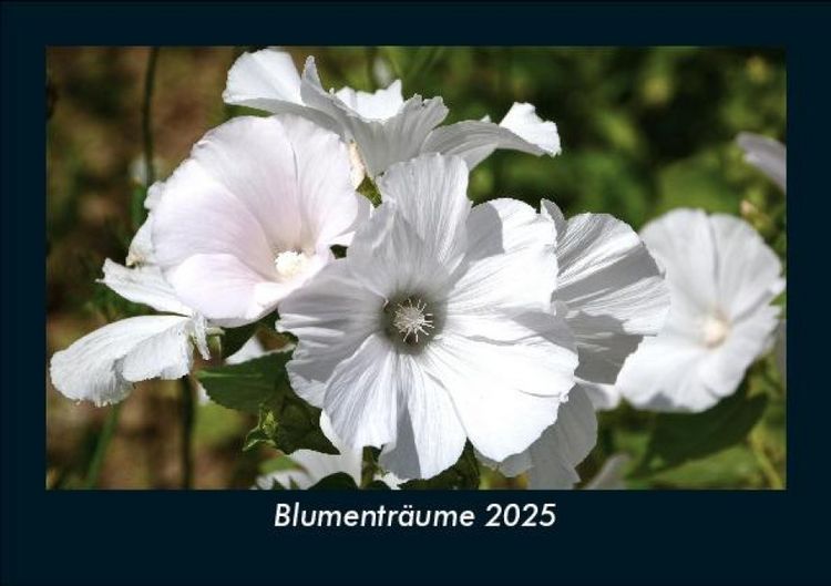 Produktbild: Blumentr&auml;ume 2025 Fotokalender DIN A5