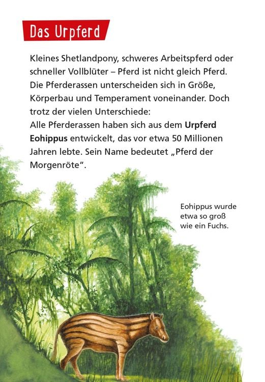 Produktbild: Pixi Wissen 1: Pferde und Ponys