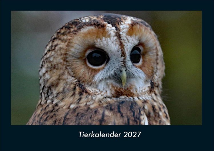 Produktbild: Tierkalender 2027 Fotokalender DIN A4