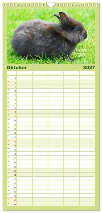 Produktbild: Familienplaner 2027 - Liebenswerte Zwergkaninchen mit 5 Spalten (Wandkalender, 21 x 45 cm) CALVENDO