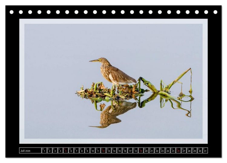 Produktbild: Kerala - Impressionen aus S&uuml;dindien (Tischkalender 2026 DIN A5 quer), CALVENDO Monatskalender