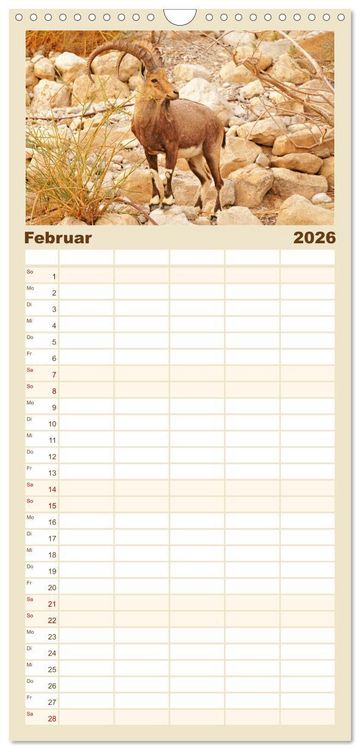 Produktbild: Familienplaner 2026 - Zwischen Tradition und Moderne: Israel mit 5 Spalten (Wandkalender, 21 x 45 cm) CALVENDO