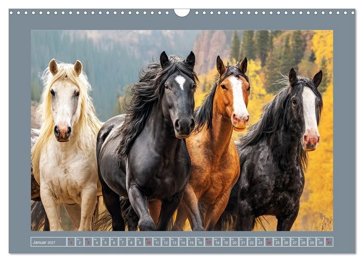 Produktbild: Mustangs. Pferde in ihrer wildesten Sch&ouml;nheit (Wandkalender 2027 DIN A3 quer), CALVENDO Monatskalender