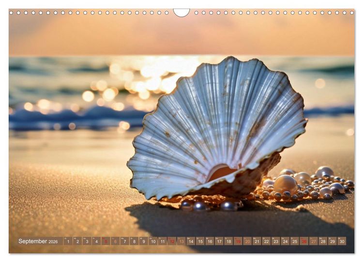 Produktbild: Faszination Muscheln (Wandkalender 2026 DIN A3 quer), CALVENDO Monatskalender