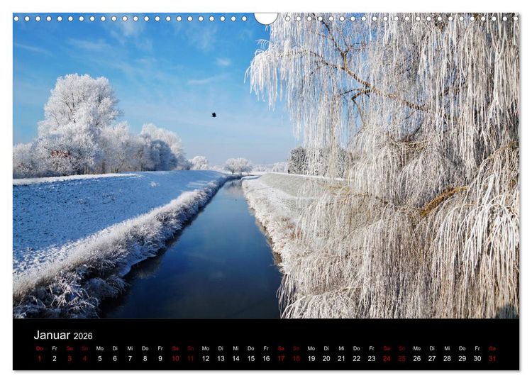 Produktbild: Der Waldspaziergang (Wandkalender 2026 DIN A3 quer), CALVENDO Monatskalender