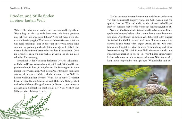 Die Magie des Waldes