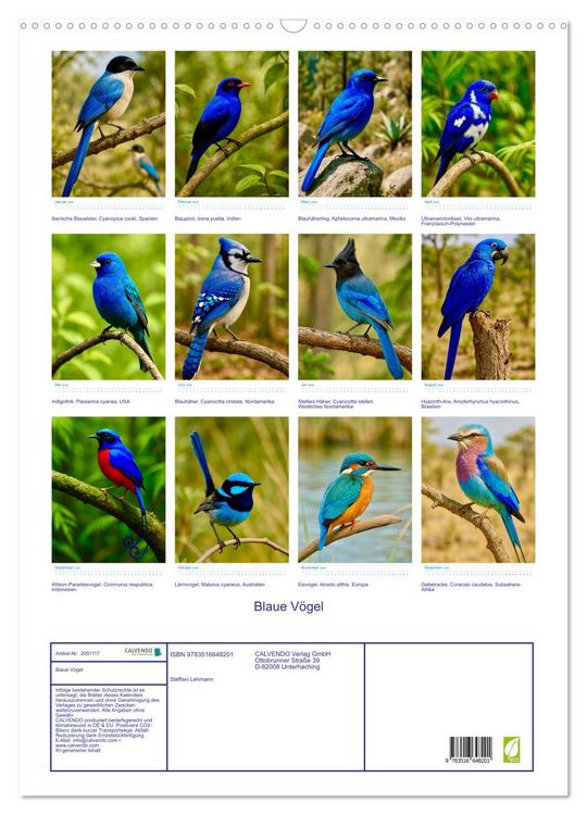 Produktbild: Blaue V&ouml;gel (Wandkalender 2026 DIN A2 hoch), CALVENDO Monatskalender