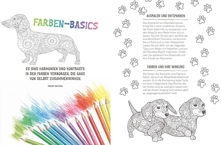 Produktbild: Colorful Mandala &ndash; Tierisch verliebt