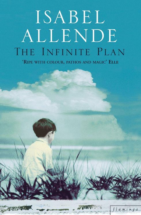 Produktbild: The Infinite Plan