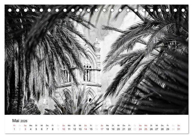 Produktbild: Silberstein portr&auml;tiert Palermo (Tischkalender 2026 DIN A5 quer), CALVENDO Monatskalender