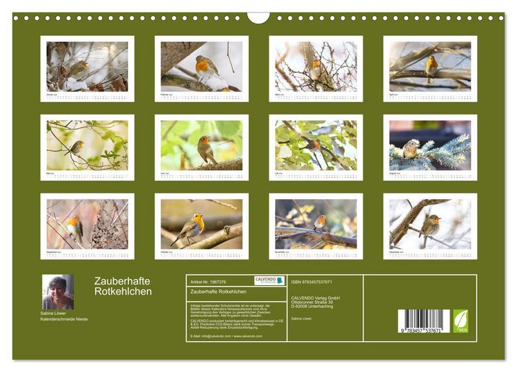 Produktbild: Zauberhafte Rotkehlchen (Wandkalender 2026 DIN A3 quer), CALVENDO Monatskalender