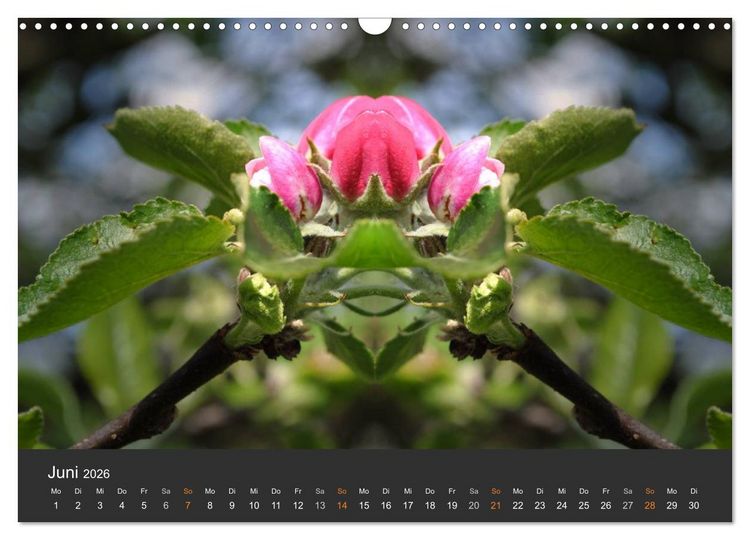 Produktbild: Spiegelwelten - Im Reich der Naturwesen (Wandkalender 2026 DIN A3 quer), CALVENDO Monatskalender
