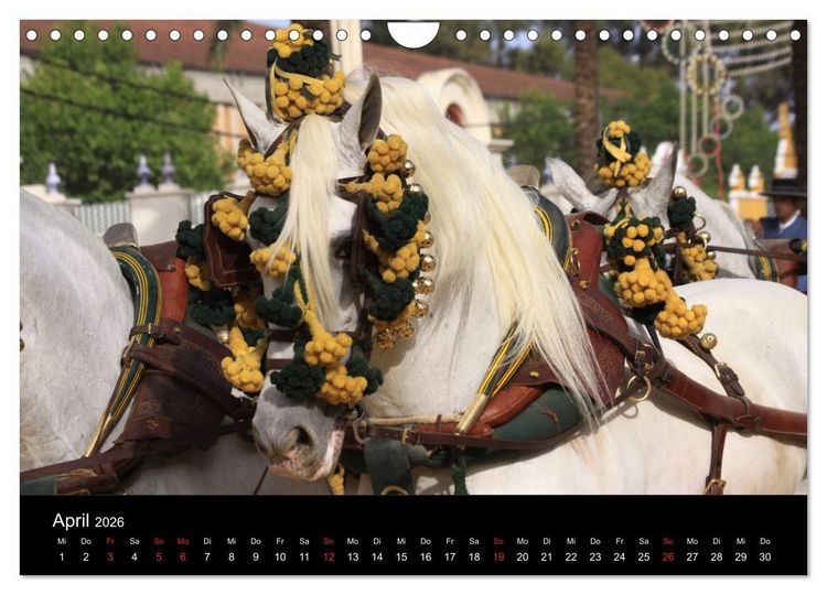 Produktbild: Caballos Spanische Pferde 2026 (Wandkalender 2026 DIN A4 quer), CALVENDO Monatskalender