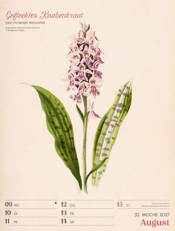 Produktbild: Ars Floralis Wochenplaner Kalender 2027