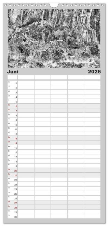 Produktbild: Familienplaner 2026 - Afrika Schwarz - Weiss mit 5 Spalten (Wandkalender, 21 x 45 cm) CALVENDO
