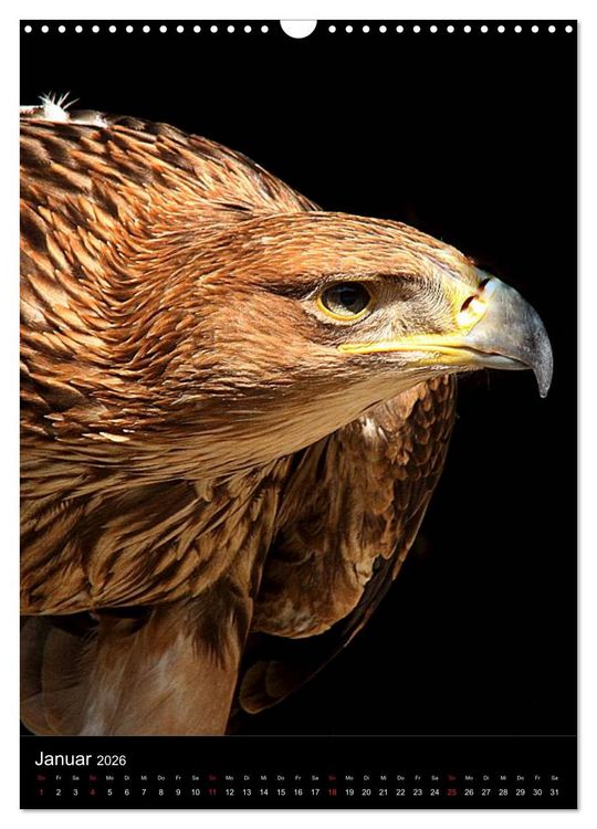 Produktbild: Raubv&ouml;gel - Die J&auml;ger der L&uuml;fte (Wandkalender 2026 DIN A3 hoch), CALVENDO Monatskalender