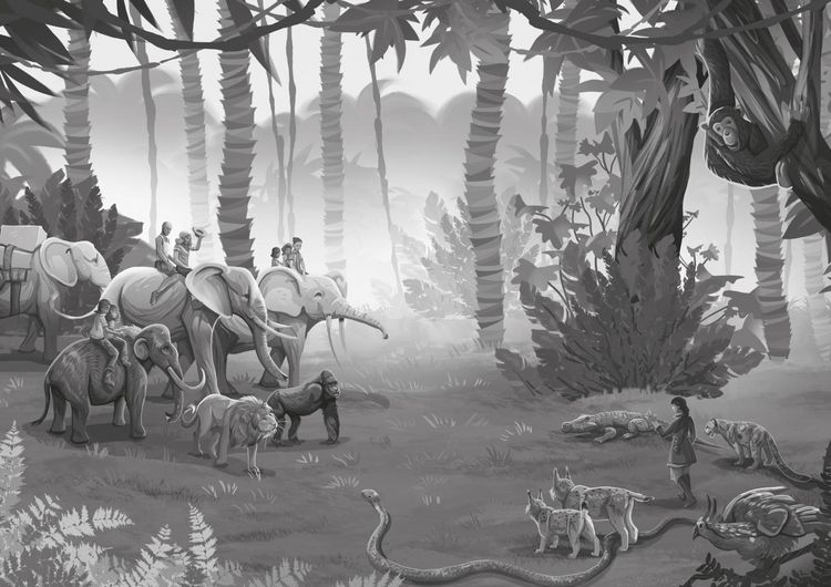 Produktbild: Whisperworld 4: Gefahr im Sumpf