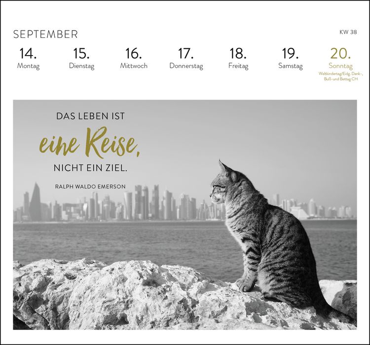 Produktbild: Postkartenkalender 2026: Inspirierende Worte für Katzenfreunde