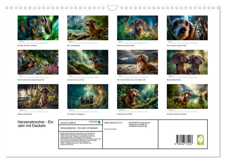 Produktbild: Herzensbrecher - Ein Jahr mit Dackeln (Wandkalender 2027 DIN A3 quer), CALVENDO Monatskalender