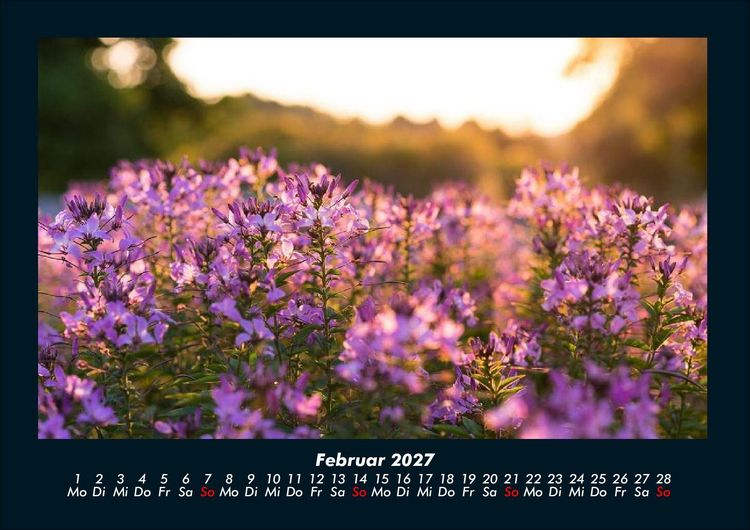 Produktbild: Blumenkalender 2027 Fotokalender DIN A4