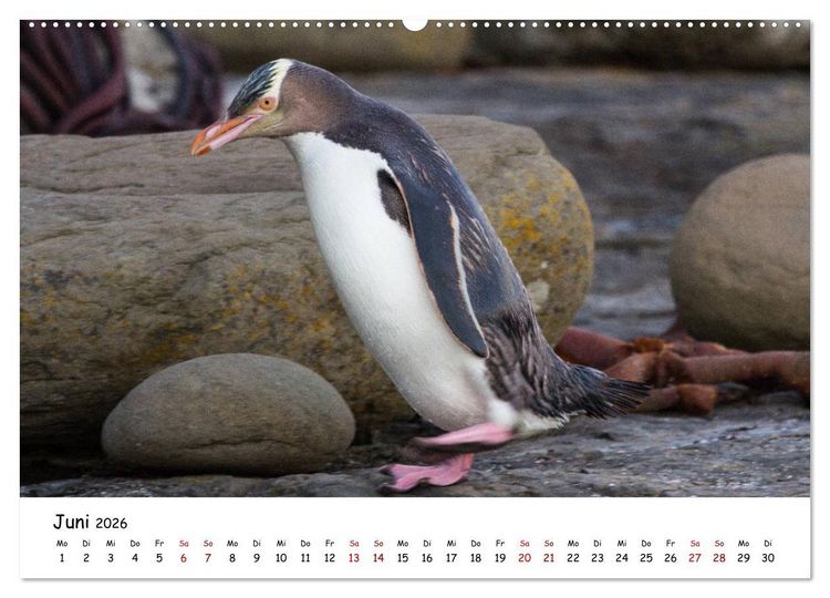 Produktbild: Neuseeland-Aotearoa, Land der wei&szlig;en Wolke (hochwertiger Premium Wandkalender 2026 DIN A2 quer), Kunstdruck in Hochglanz