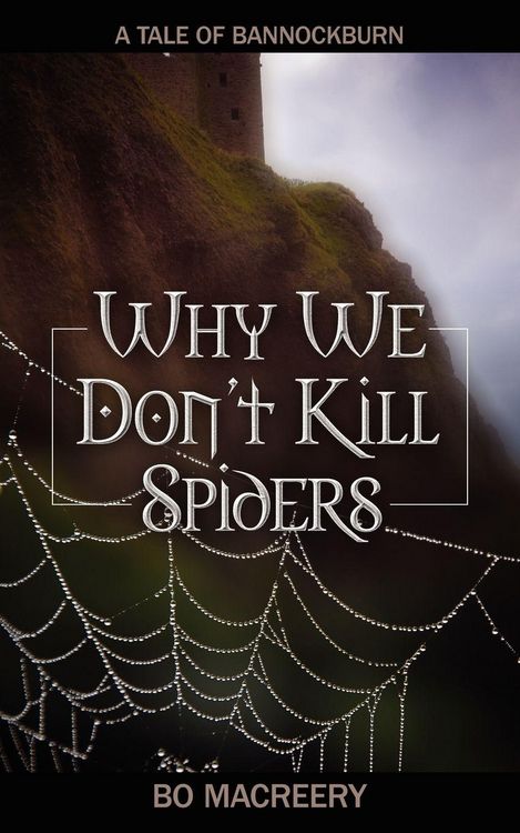 Produktbild: Why We Don't Kill Spiders