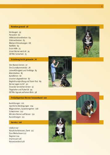 Produktbild: Berner Sennenhund