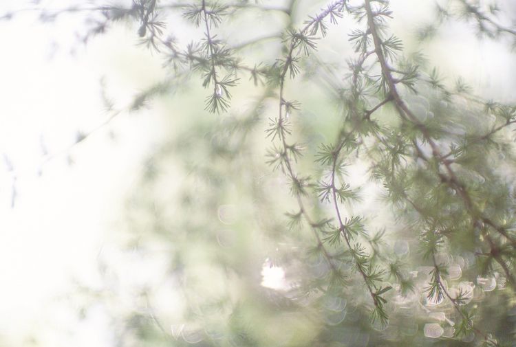Produktbild: Breathe