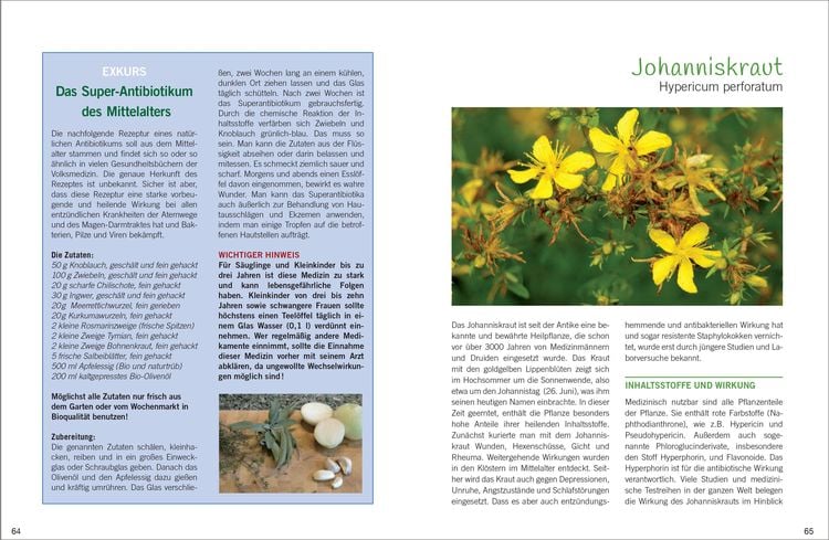 Produktbild: Antibiotische Heilpflanzen