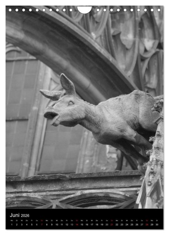 Produktbild: Wasserspeier am Ulmer M&uuml;nster (Wandkalender 2026 DIN A4 hoch), CALVENDO Monatskalender