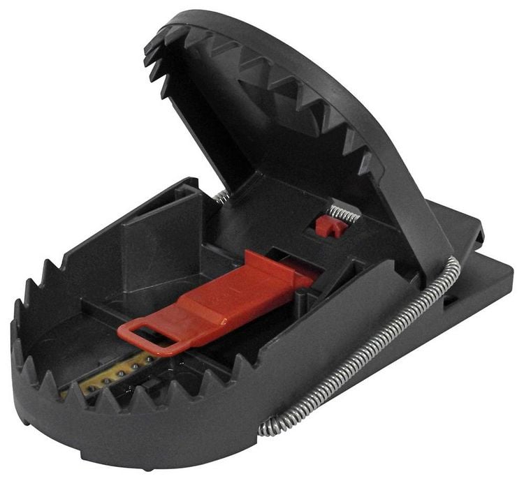 Produktbild: Swissinno SuperCat PRO Rattenfalle Funktionsart Lockstoff Erdnussbutter-K&ouml;der 1St.
