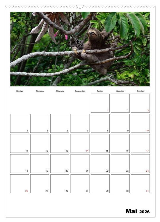Produktbild: Brasilien. Wo die Sonne wohnt (Wandkalender 2026 DIN A2 hoch), CALVENDO Monatskalender