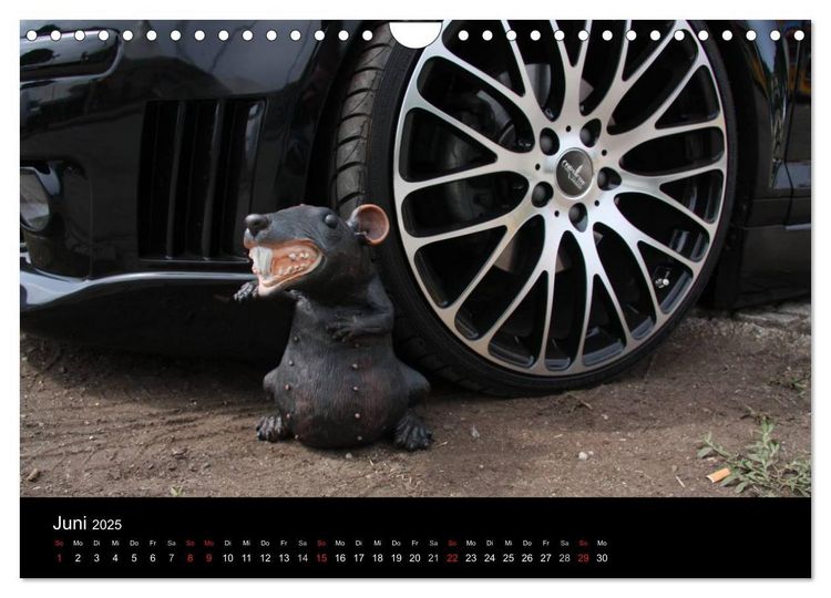 Produktbild: Burnout am W&ouml;rthersee (Wandkalender 2025 DIN A4 quer), CALVENDO Monatskalender