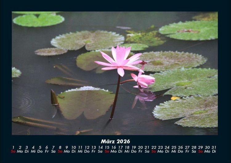 Produktbild: Die Seen der Erde 2026 Fotokalender DIN A4