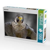 Produktbild: CALVENDO Puzzle Wanderfalke | 1000 Teile Lege-Gr&ouml;&szlig;e 64x48cm Foto-Puzzle f&uuml;r gl&uuml;ckliche Stunden