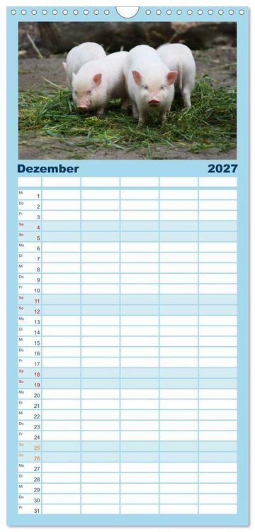 Produktbild: Familienplaner 2027 - Tierische Schweinerei mit 5 Spalten (Wandkalender, 21 x 45 cm) CALVENDO