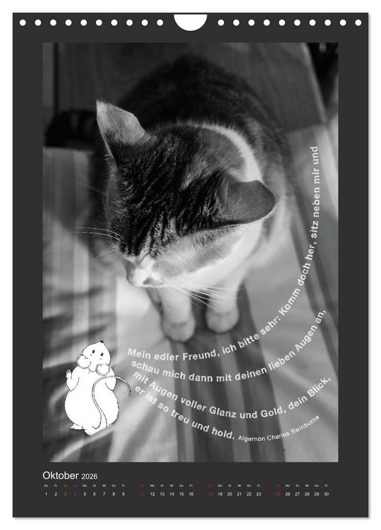 Produktbild: Katz & Maus (Wandkalender 2026 DIN A4 hoch), CALVENDO Monatskalender