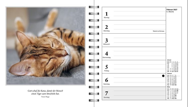 Produktbild: Diary Schmusekatzen 2027