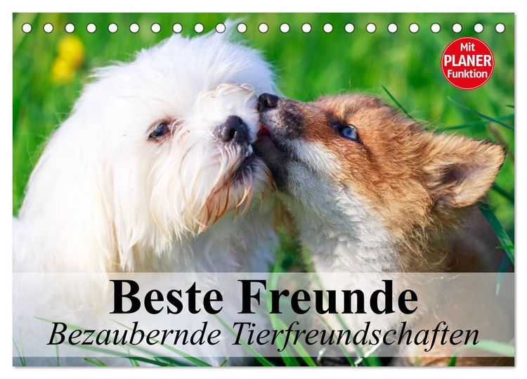 Produktbild: Beste Freunde. Bezaubernde Tierfreundschaften (Tischkalender 2026 DIN A5 quer), CALVENDO Monatskalender