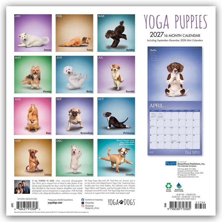 Produktbild: Yoga Puppies &ndash; Welpen Yoga 2027 &ndash; 16-Monatskalender