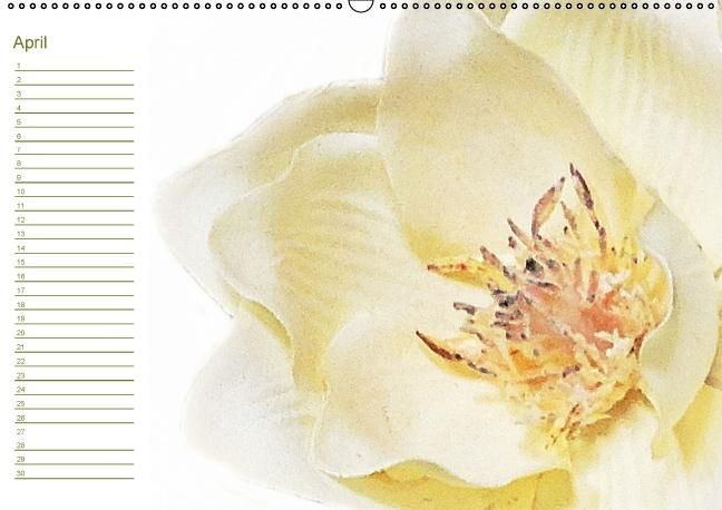 Produktbild: Bl&uuml;tentr&auml;ume - ganz in wei&szlig; / Geburtstagskalender (Wandkalender immerw&auml;hrend DIN A2 quer)